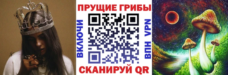 Галлюциногенные грибы Psilocybine cubensis  Купить где  Полярные Зори 